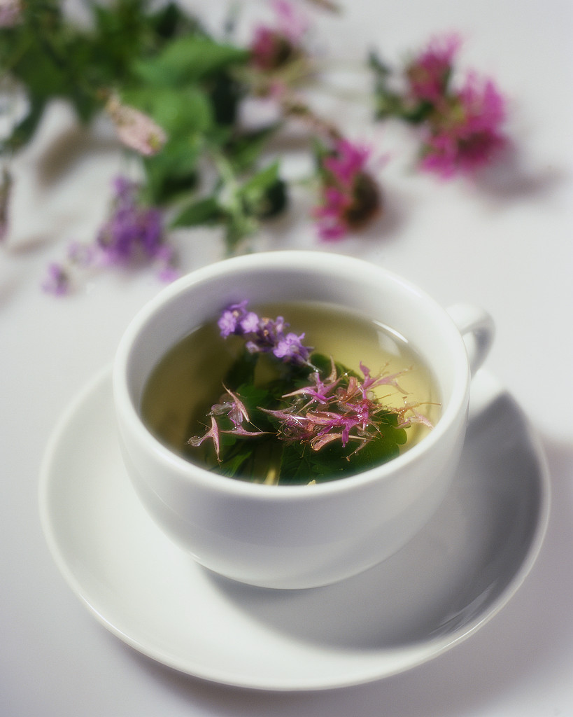 Herbal Tea Healing Herbal Tea For An Immune System Boost